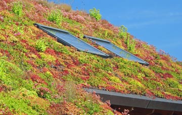 Philiphaugh living roof systems