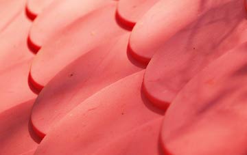 Philiphaugh plastic roof costs